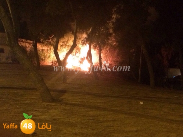 fire 3arisha3 (3).JPG